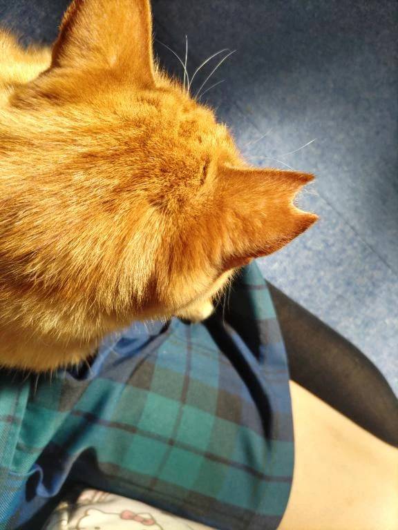 体験　ゆずき　　指名料無料　応援企画対応