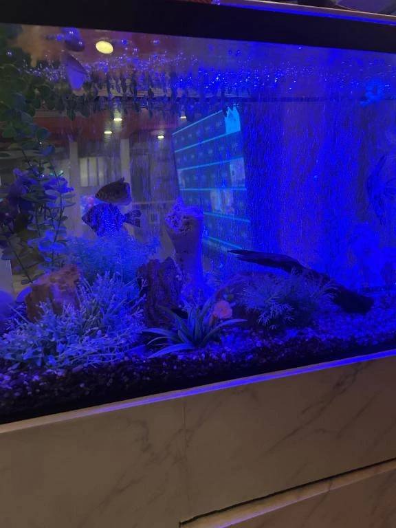 クインズコートありがとう🥺🥺