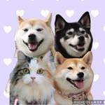 さゆり　　指名料無料中