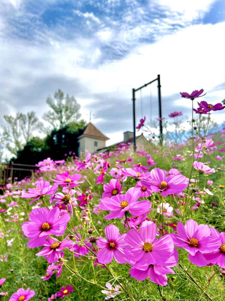 さゆり　　指名料無料中