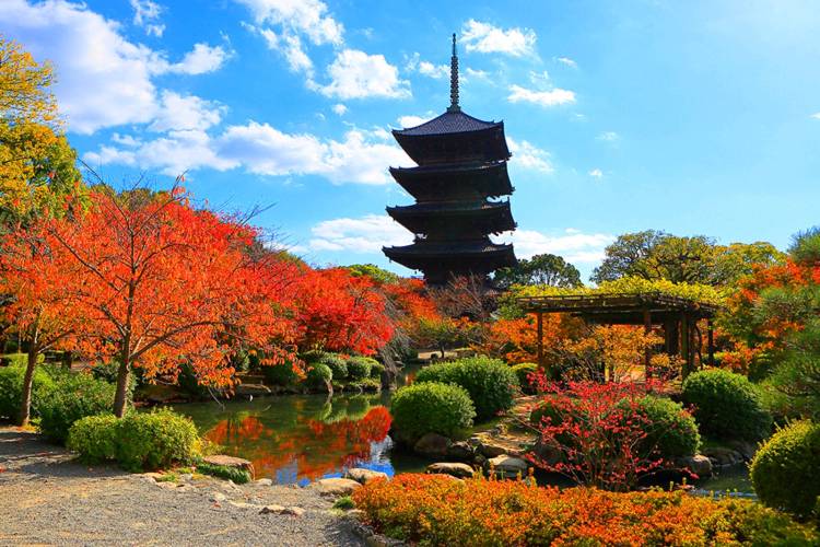 さゆり　　指名料無料中