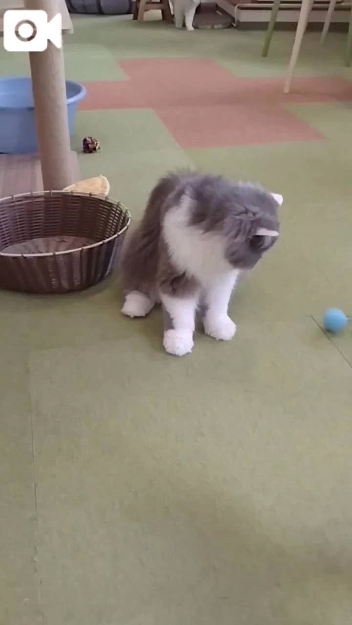 ほっとひと息😻