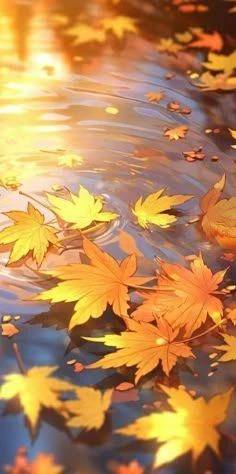 11/4のありがとう♡