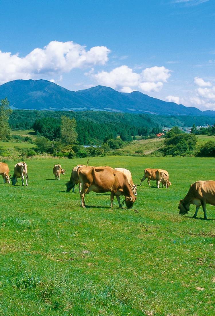 さゆり　　指名料無料中