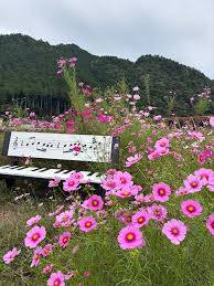 さゆり　　指名料無料中