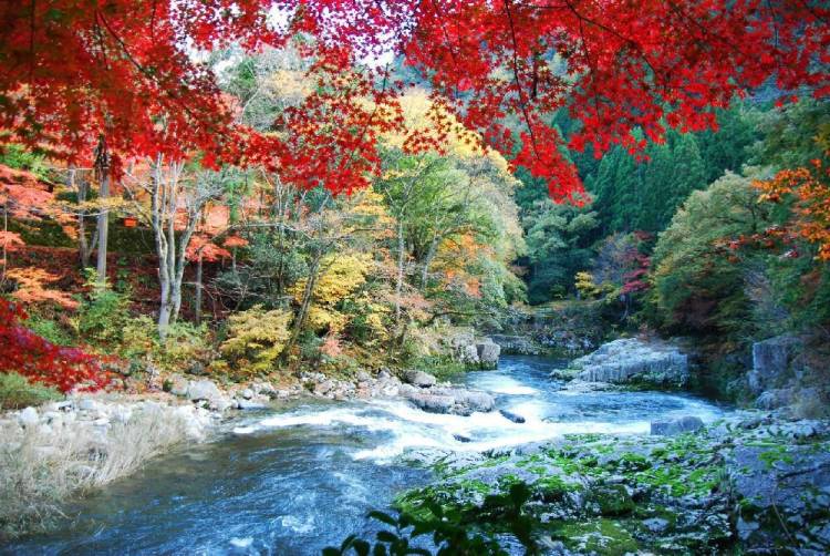 さゆり　　指名料無料中