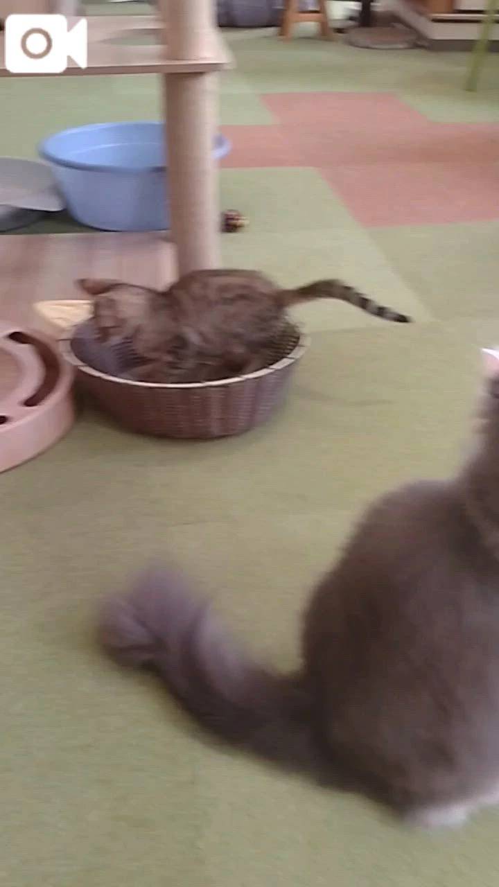 ほっとひと息😻