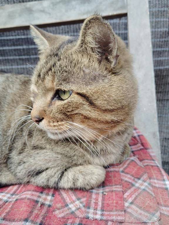 お誘いおまちしております🙇