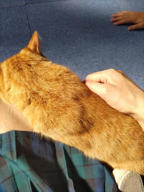 体験　ゆずき　　指名料無料　応援企画対応