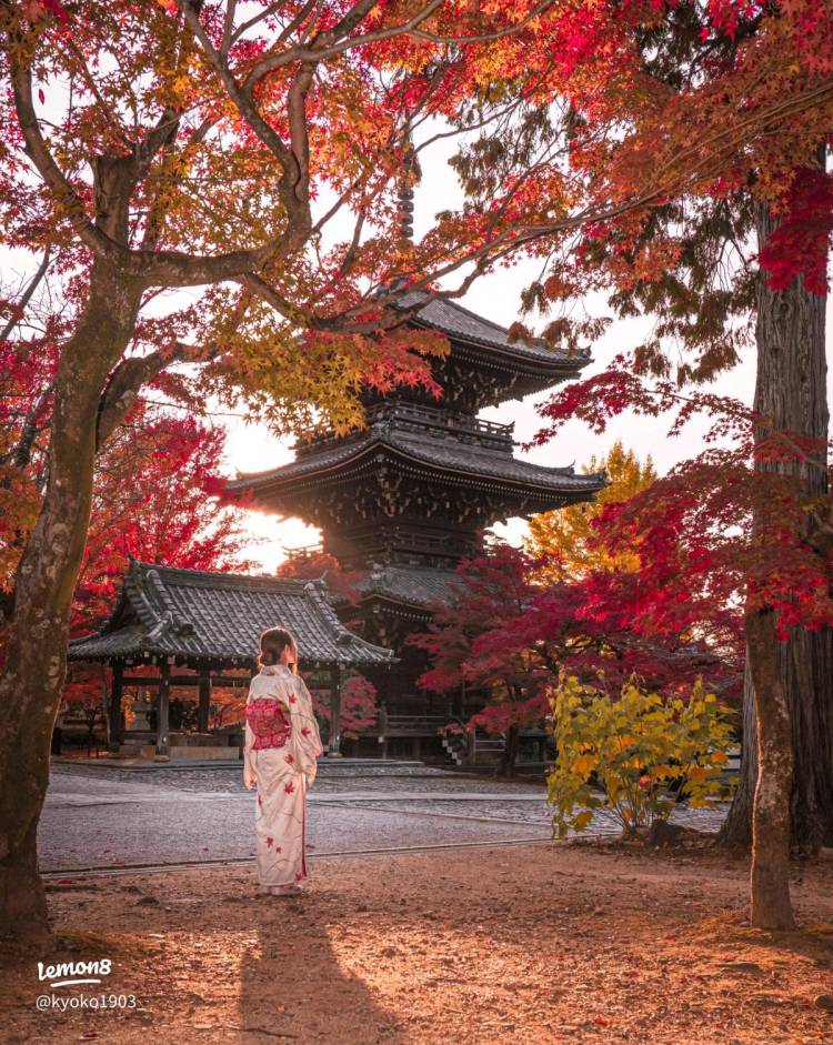 本日も宜しくお願いいたします