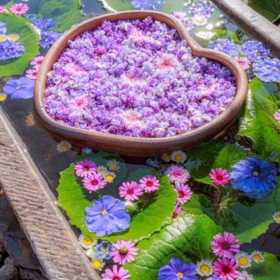 けい　期間限定