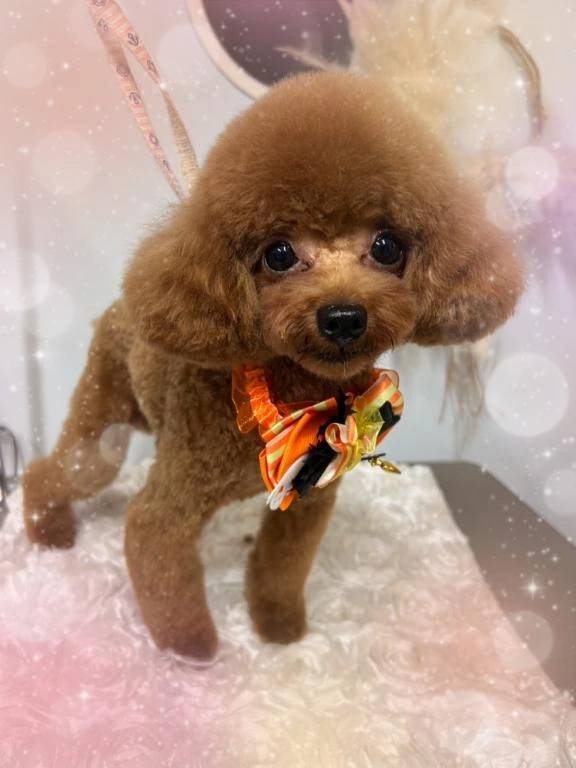 おはよぉ🍃🌸🐝🌸🍃