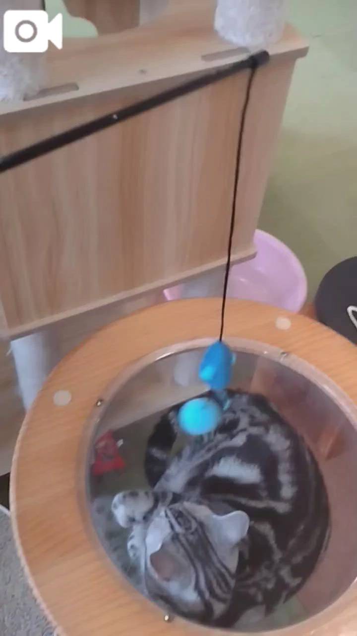 ほっとひと息😻