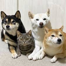 さゆり　　指名料無料中