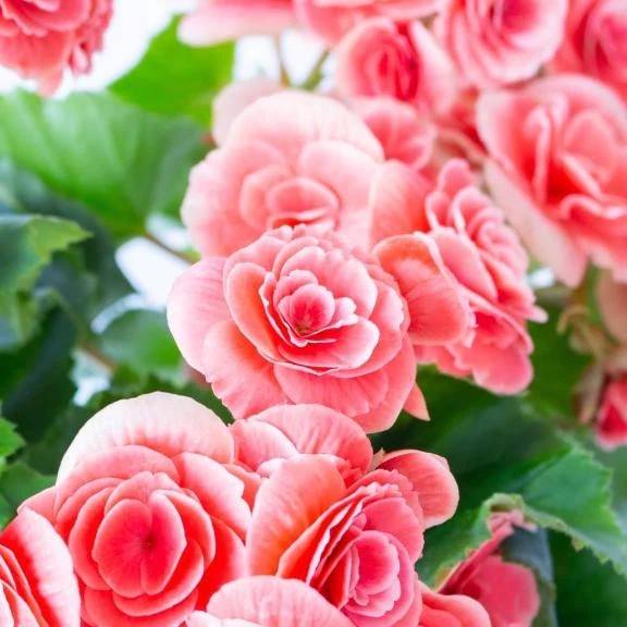 遊びに来てね🤗