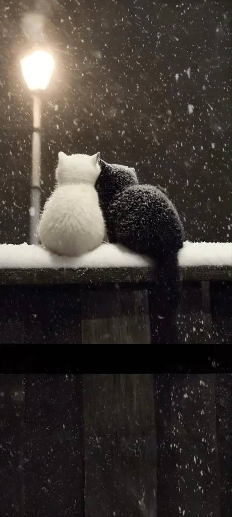 気を付けてくださいね😊