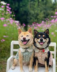 お疲れ様でした