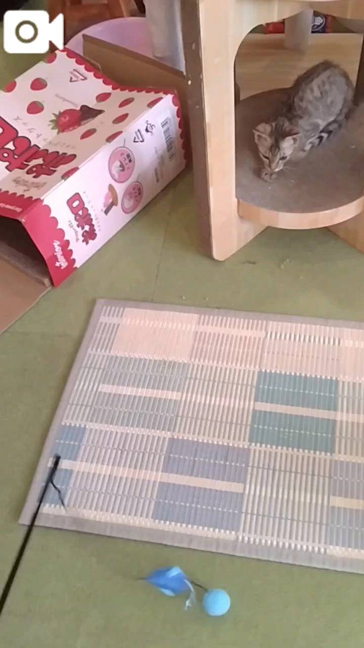 ほっとひと息😻