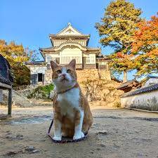 さゆり　　指名料無料中