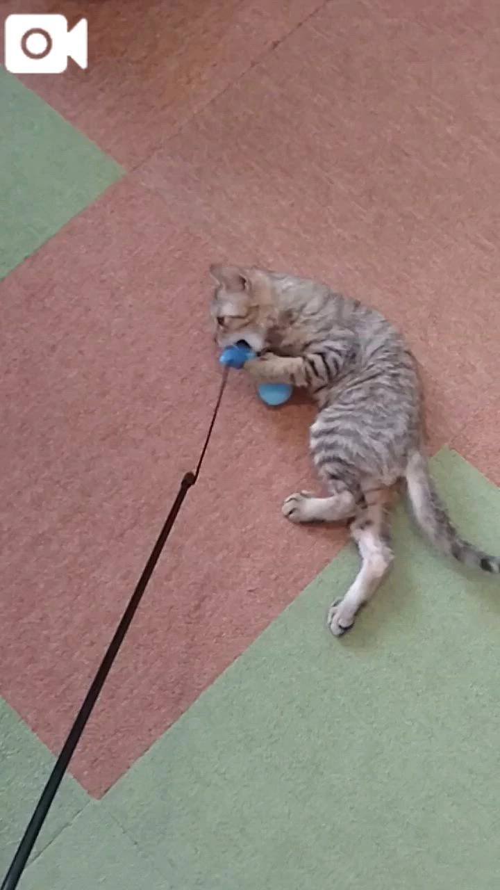 ほっとひと息😻