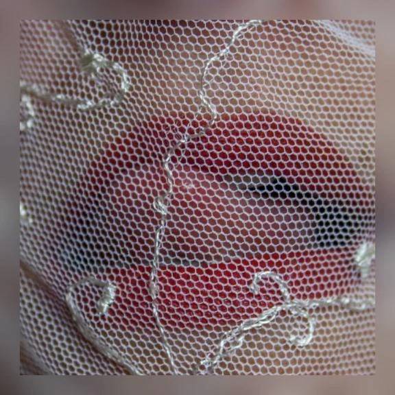 けい　期間限定