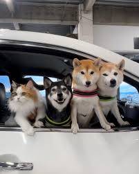 さゆり　　指名料無料中