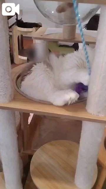 ほっとひと息😻