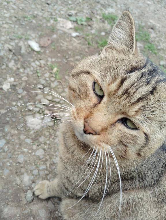 お誘いくださり、どうもありがとうございました🙇