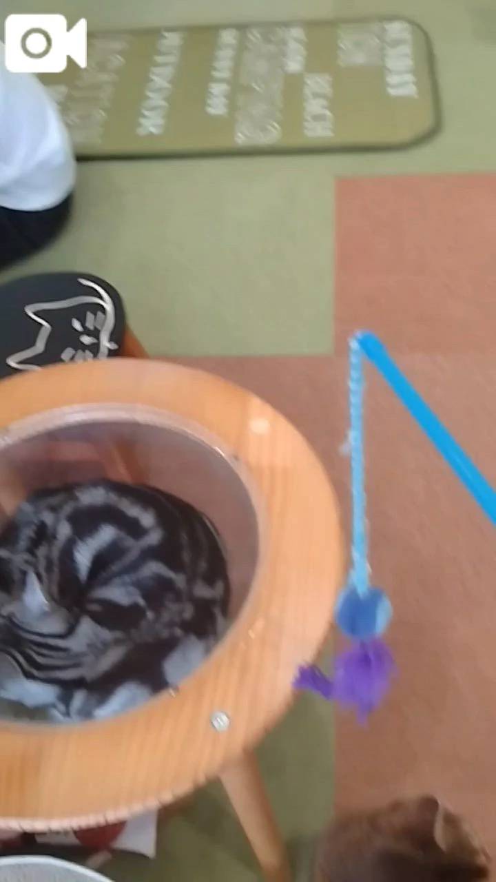 ほっとひと息😻