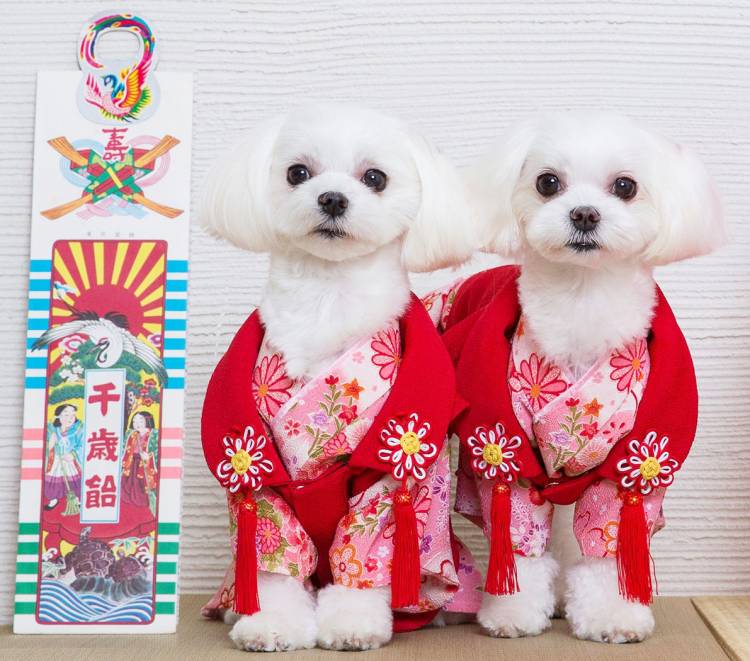 本日も宜しくお願いいたします