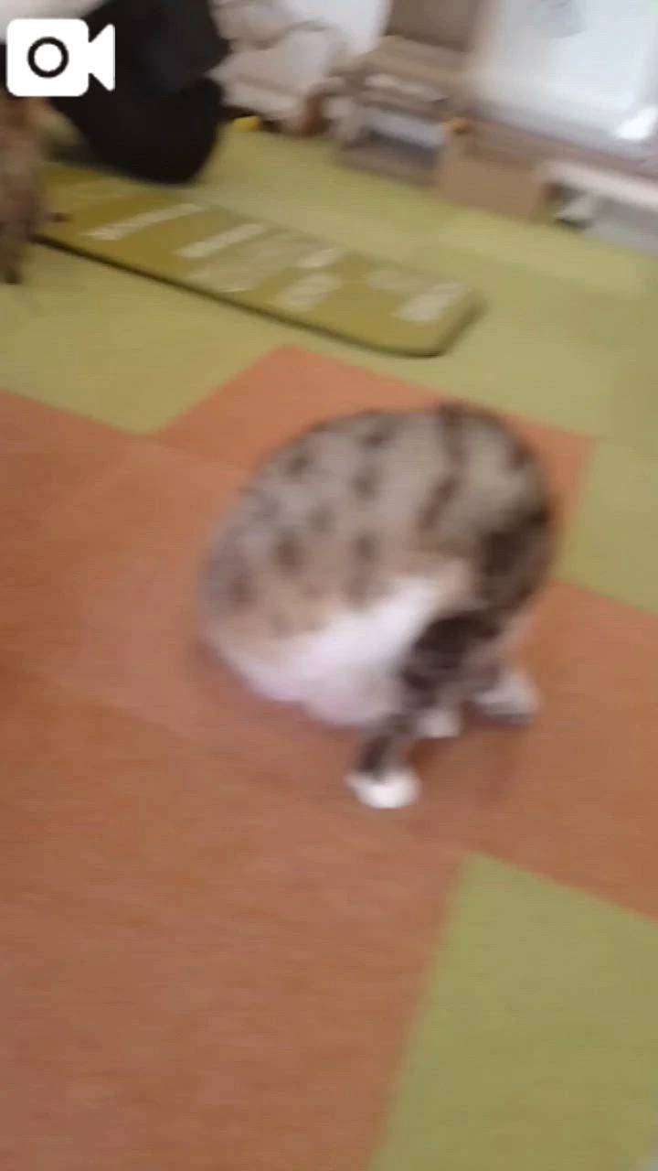 ほっとひと息😻