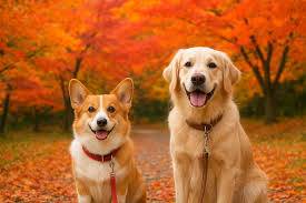 お疲れ様でした