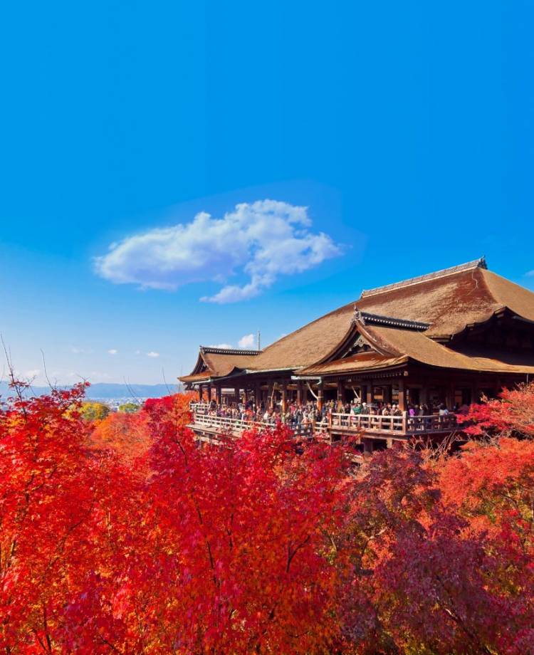 さゆり　　指名料無料中