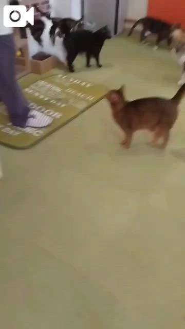 ほっとひと息😻