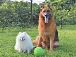 お疲れ様でした