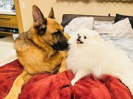 おやすみなさい