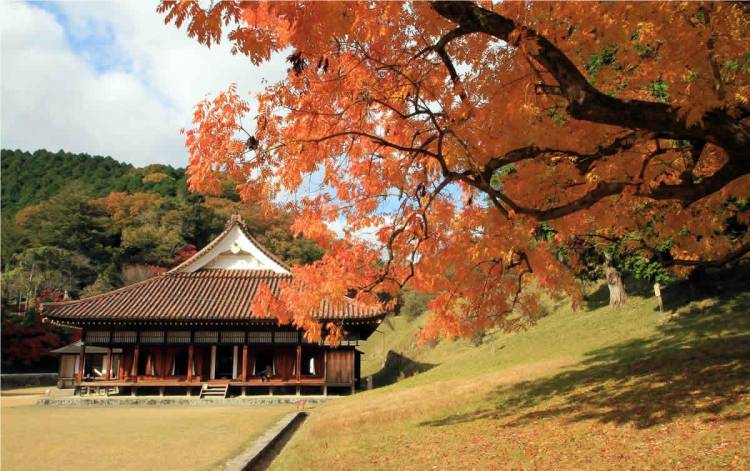 １１月になって３回目の月曜日