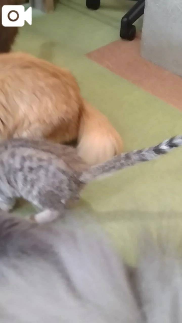 ほっとひと息😻