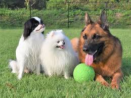 お疲れ様でした