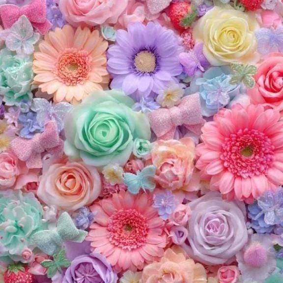 🌹〜よてい〜🌹