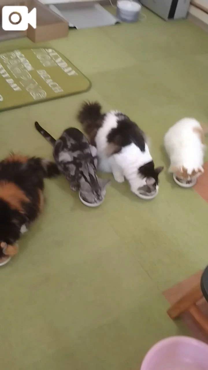 ほっとひと息😻