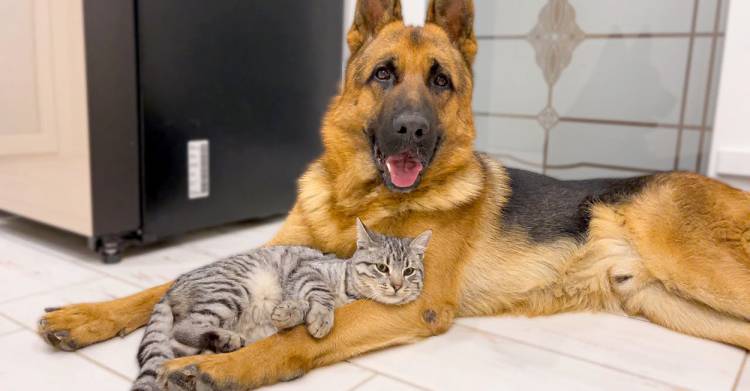 さゆり　　指名料無料中