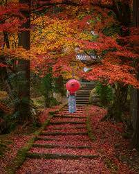 さゆり　　指名料無料中