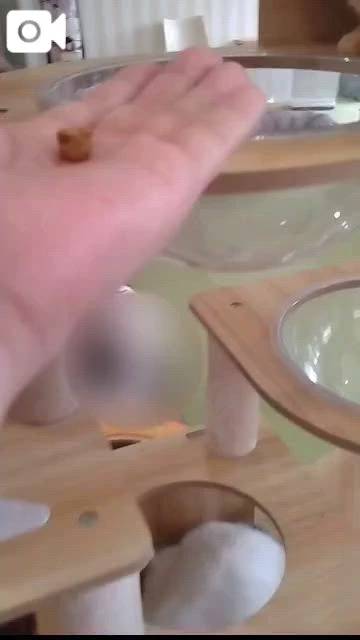 ほっとひと息😻