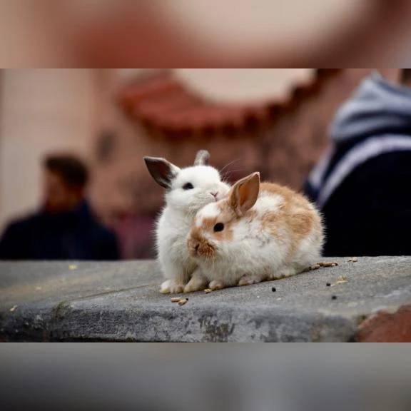 体温交換しよ⁉️