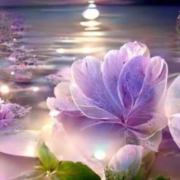 けい　期間限定