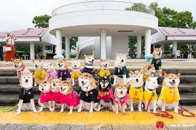 ありがとうございました