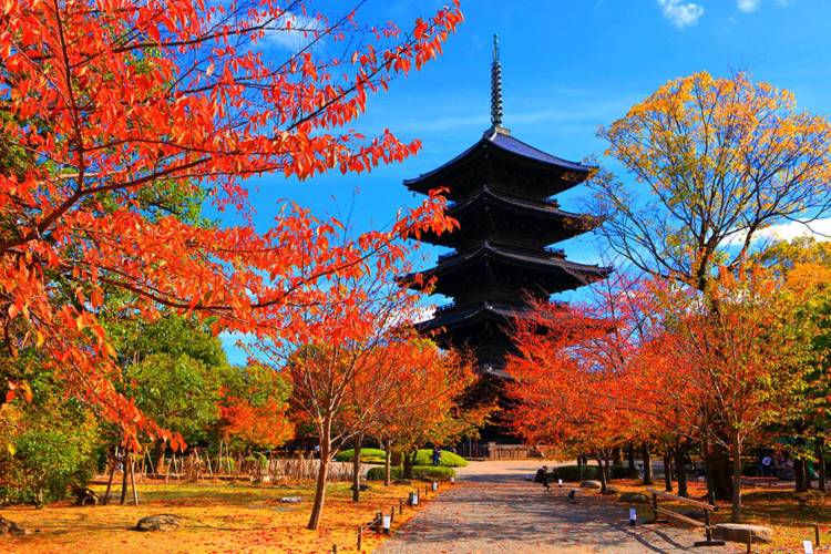 １１月になって３回目の木曜日