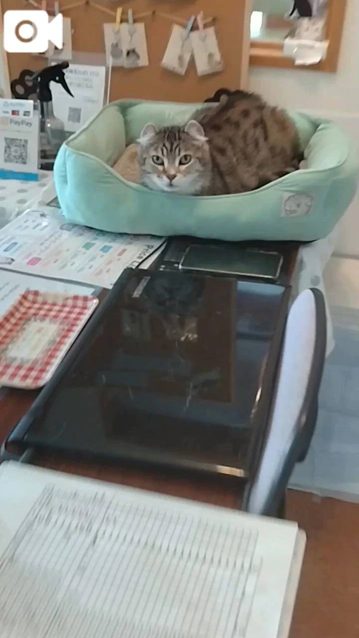 ほっとひと息😻