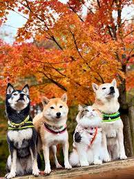 お疲れ様でした